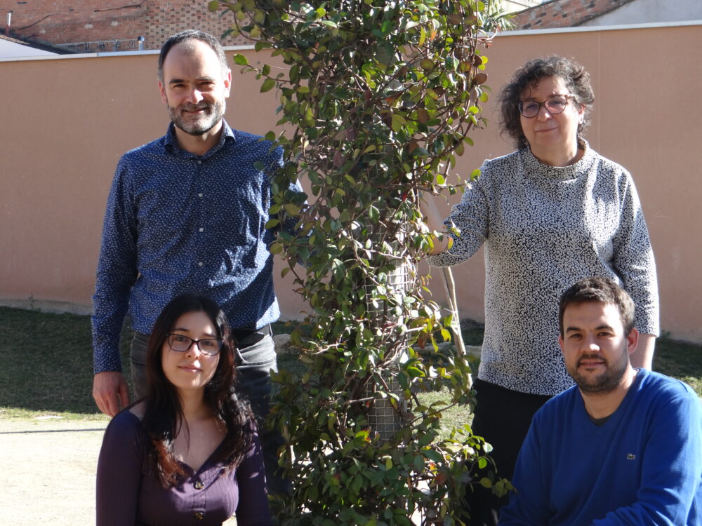 Foto equip 1